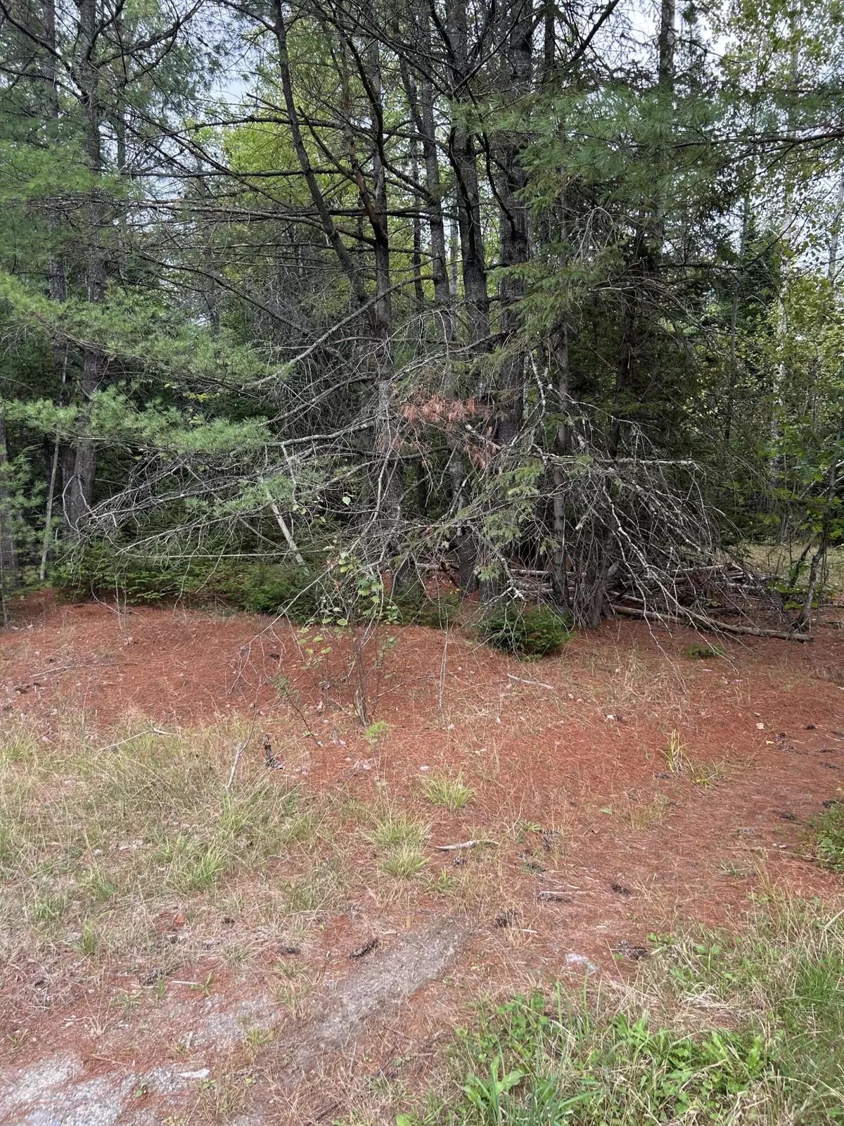 Charleston, ME 04422,77 Ridge Road/Main Road