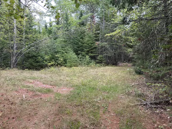 Charleston, ME 04422,77 Ridge Road/Main Road