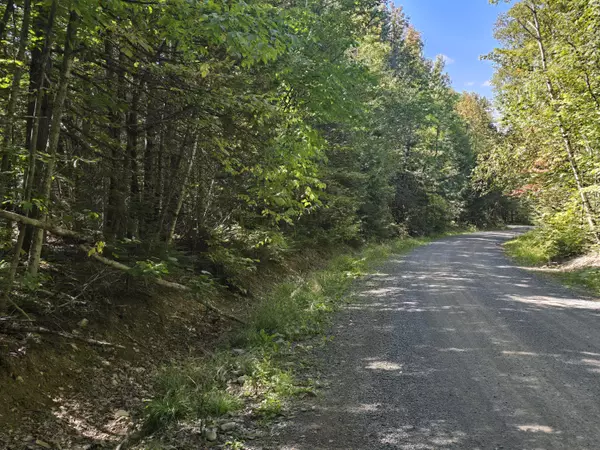 Island Falls, ME 04747,Lot I3 Grant RD