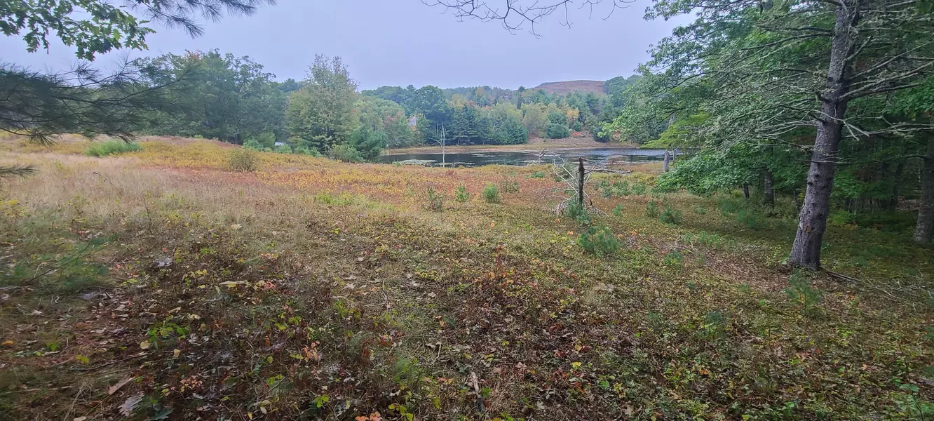 000 Grindleville RD, Blue Hill, ME 04614