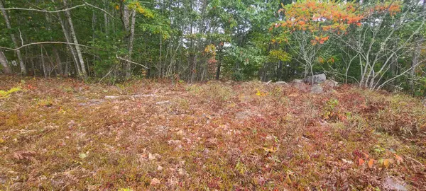 Blue Hill, ME 04614,000 Grindleville RD