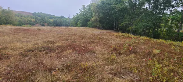 Blue Hill, ME 04614,000 Grindleville RD