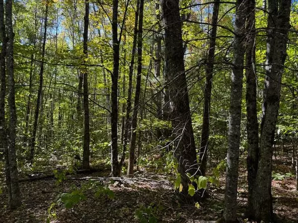 Concord Twp, ME 04920,17 Savage Hill RD