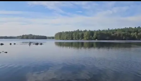 Wakefield, NH 03872,784 Lovell Lake RD