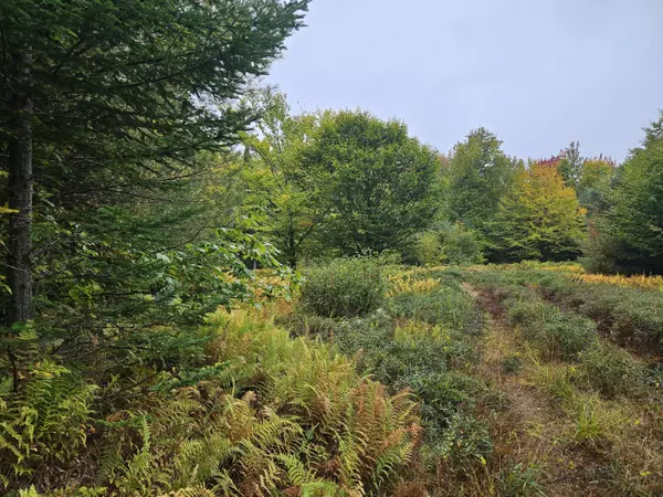 Embden, ME 04958,85 Loon RD