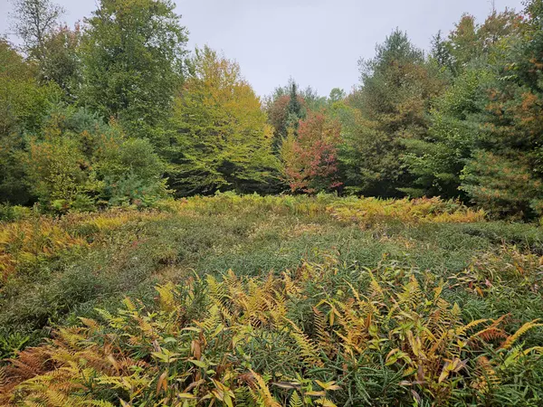 Embden, ME 04958,85 Loon RD