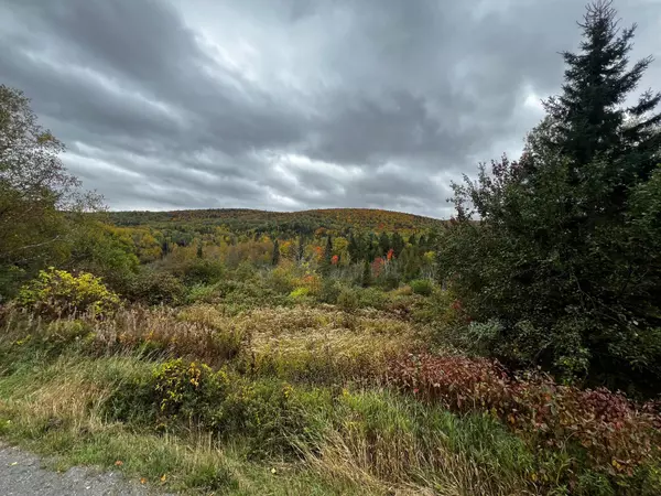 Fort Kent, ME 04743,500 Violette Settlement RD