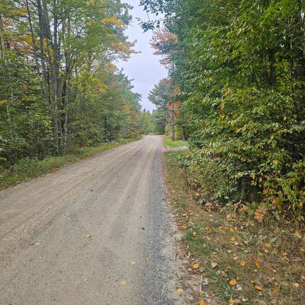 206 Morrison Farm RD, Mariaville, ME 04605