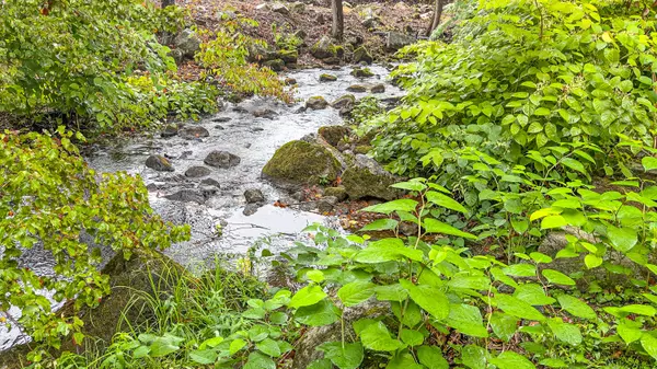 Bridgton, ME 04009,76 Main ST