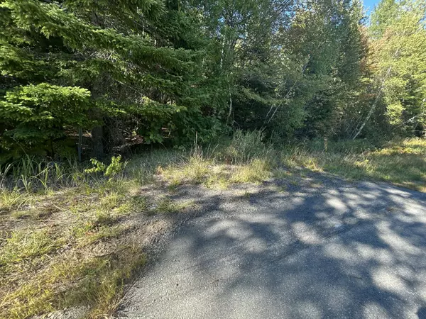 Wesley, ME 04686,M6L24 US Route 9