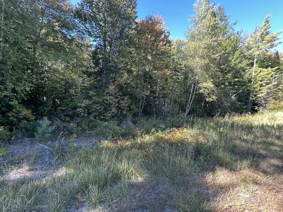 Wesley, ME 04686,M6L24 US Route 9