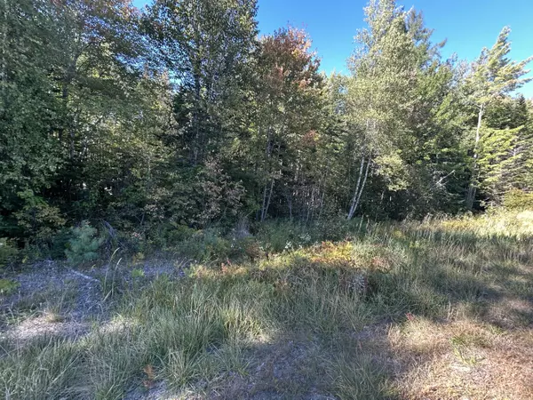 M6L24 US Route 9, Wesley, ME 04686