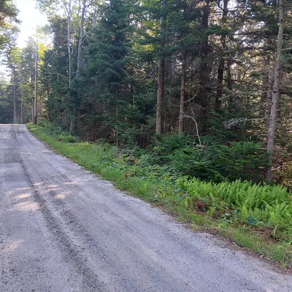 1B Old Mill RD, Bristol, ME 04554