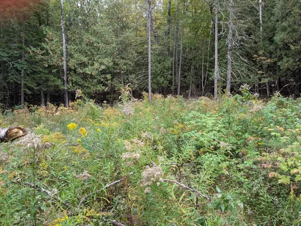 Holden, ME 04429,154 Copeland Hill RD