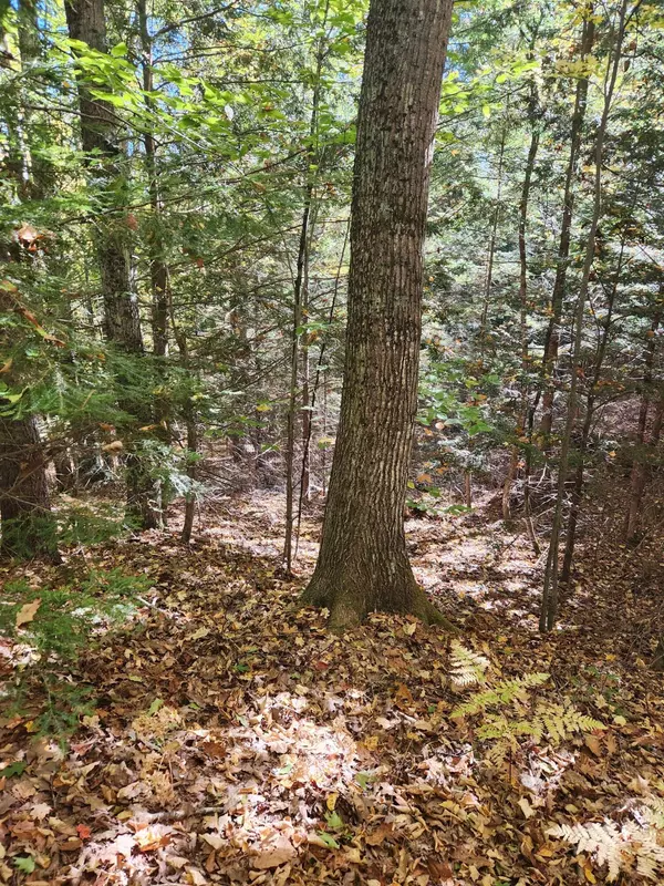 Norway, ME 04268,14D Thomas Hill RD