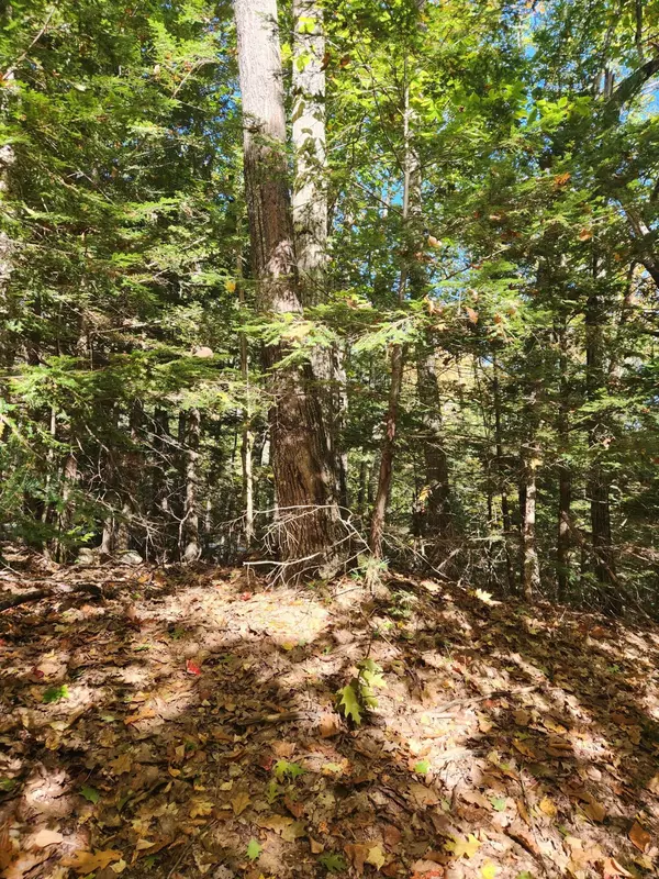 Norway, ME 04268,14D Thomas Hill RD