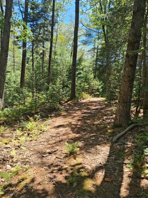 Edgecomb, ME 04556,1.4 1.5 Spruce Ridge Subdivision