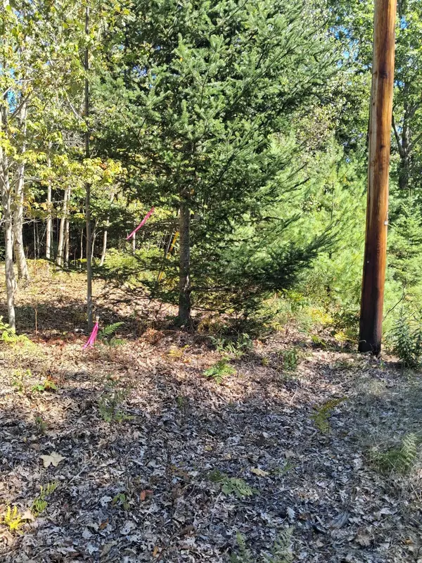 Edgecomb, ME 04556,1.4 1.5 Spruce Ridge Subdivision