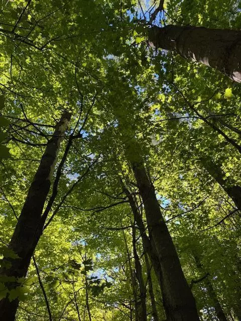 Smithfield, ME 04978,Lot 1 Oak Hill RD