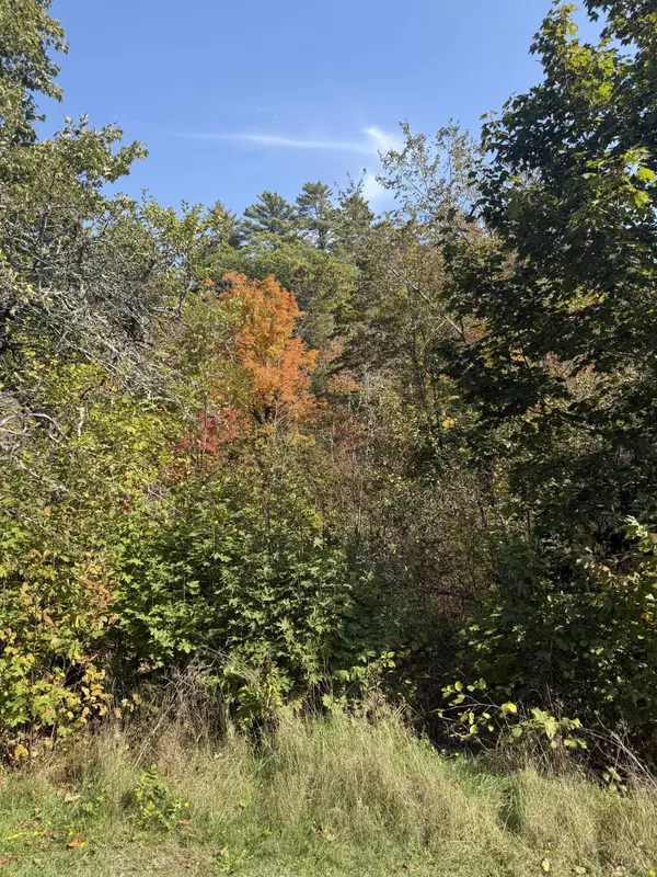 Pembroke, ME 04666,43 Front ST