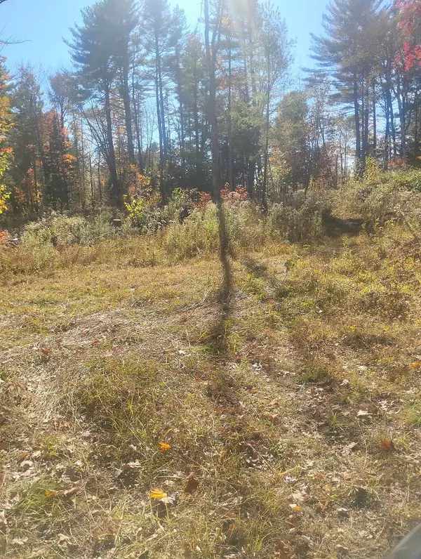 Lot 18&20 Carrabassett RD,  New Portland,  ME 04961