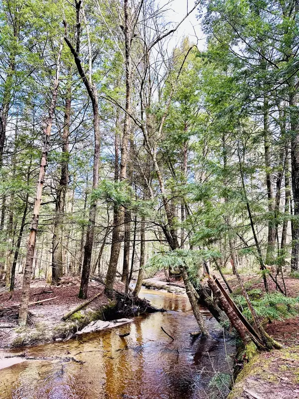 New Gloucester, ME 04260,50 McCarthy RD