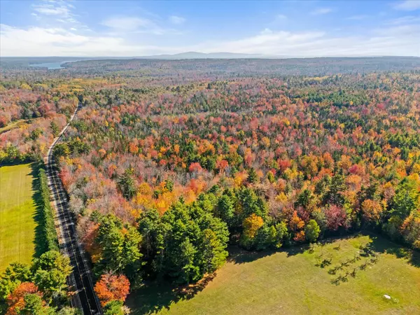 Surry, ME 04684,Lot #15 Toddy Pond RD