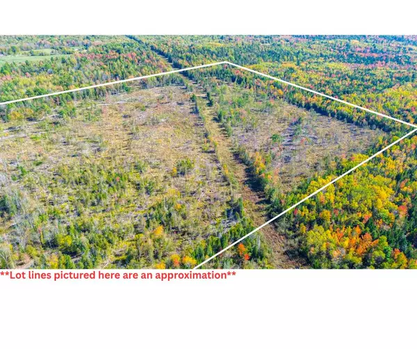 Etna, ME 04434,TBD West Etna Road