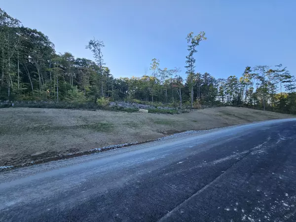 Standish, ME 04084,LOT #37 Woodbrey LN