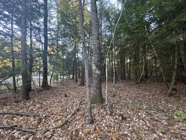 Waterboro, ME 04061,0 New Dam RD