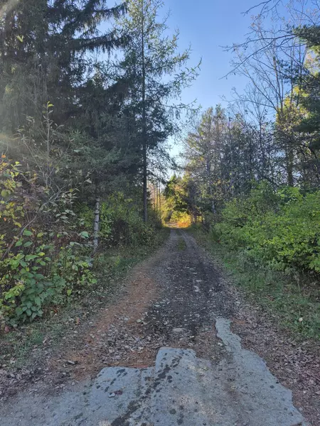 Lot #27 Bog Brook Road, Island Falls, ME 04747