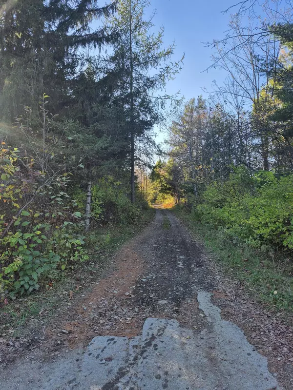 Lot #27 Bog Brook Road, Island Falls, ME 04747