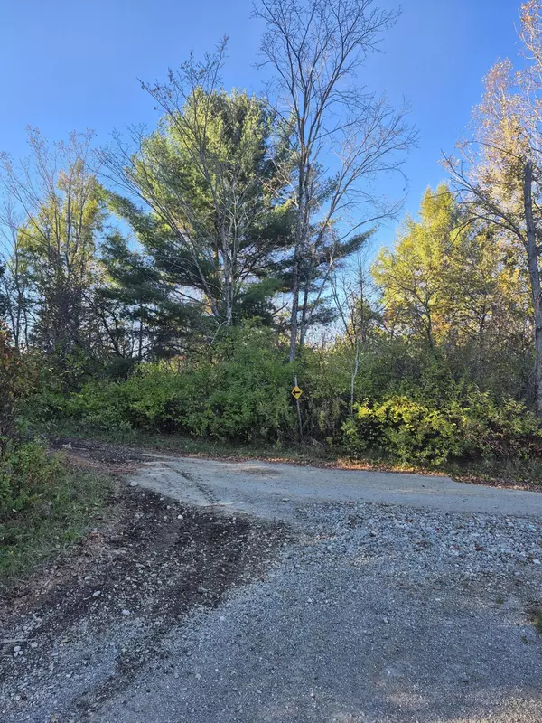 Island Falls, ME 04747,Lot #27 Bog Brook Road