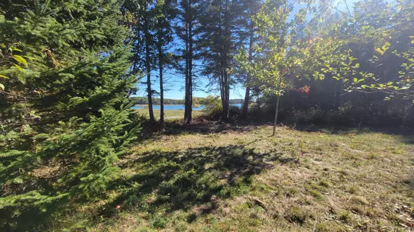 Pembroke, ME 04666,173 Leighton Point RD