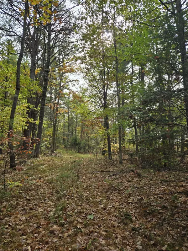 Brownfield, ME 04010,133 Plantation LN