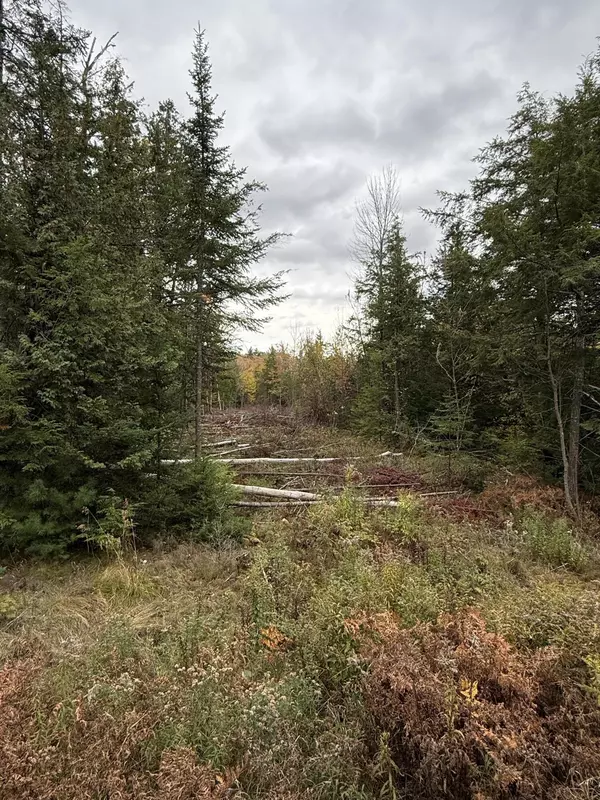 Madison, ME 04950,711 Preble AVE