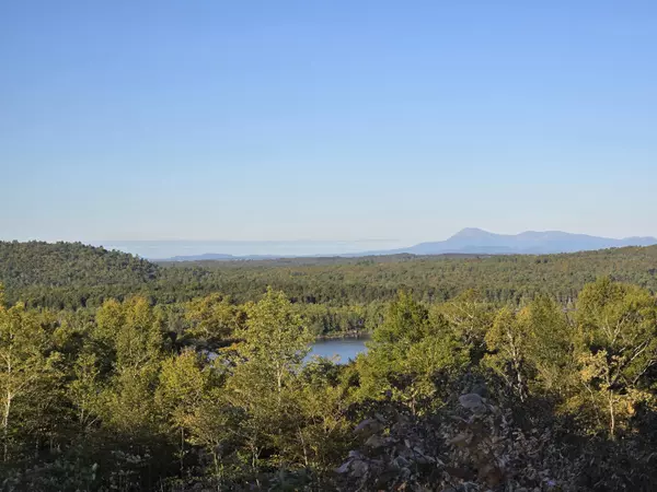 Island Falls, ME 04747,Lot 11 Sleeper RD
