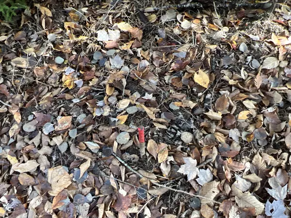 Lakeville, ME 04487,lot#5 Hamilton RD