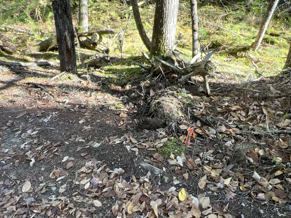 Lakeville, ME 04487,lot#5 Hamilton RD