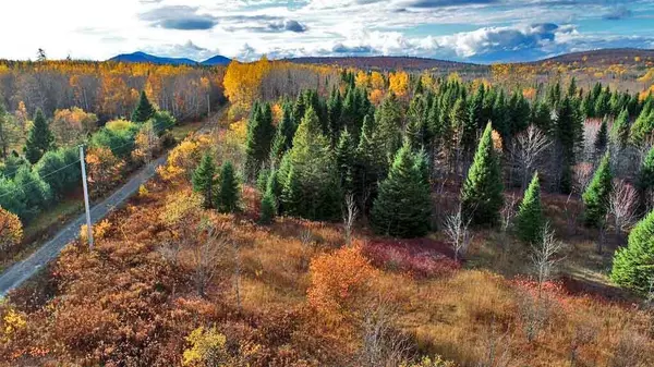 Moro Plt, ME 04780,Lot 8-9 South Mill RD