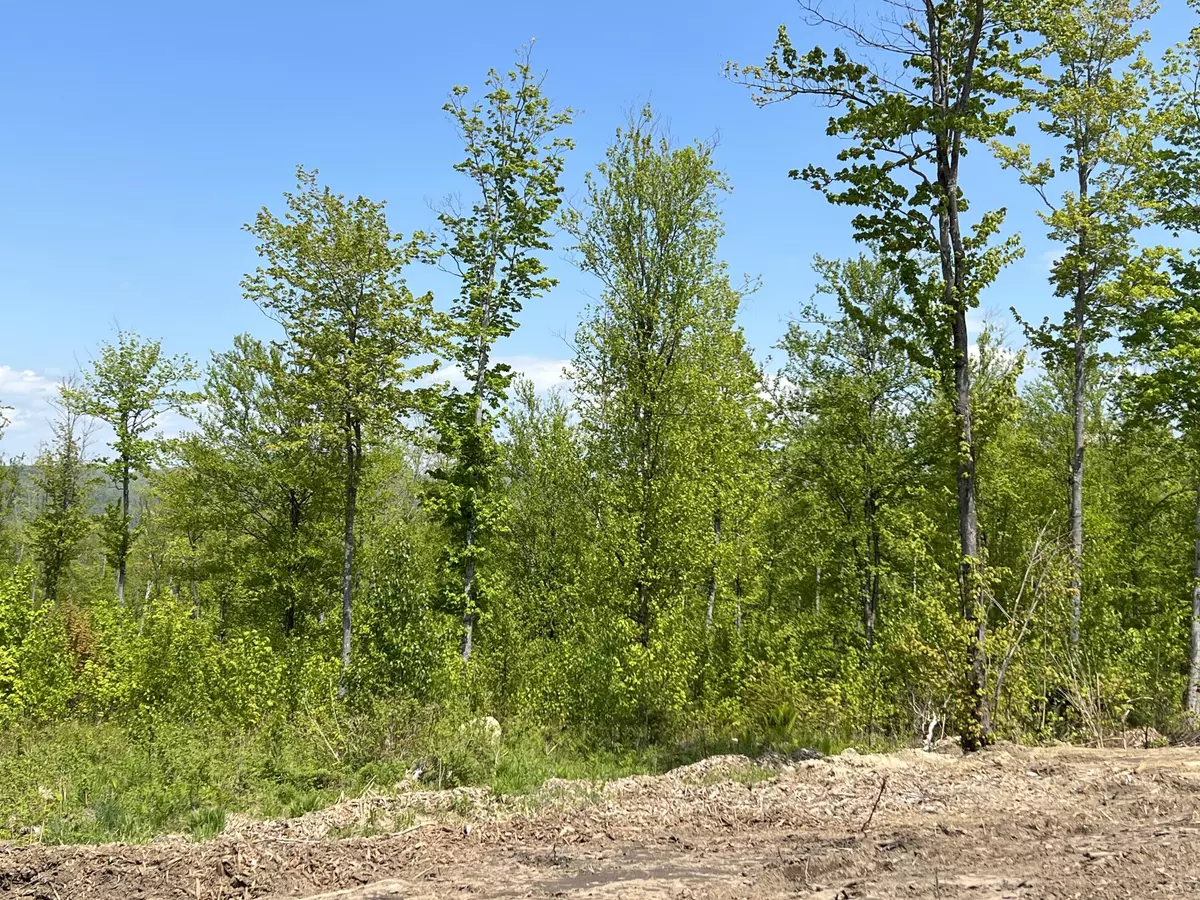 Bethel, ME 04217,Lot 6B Harmony ROW