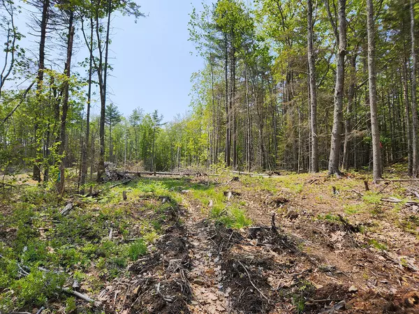 Kennebunkport, ME 04046,Lot 2 Woodland DR