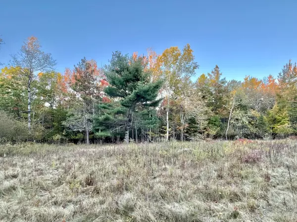 Surry, ME 04684,28-10A Morgan Bay RD