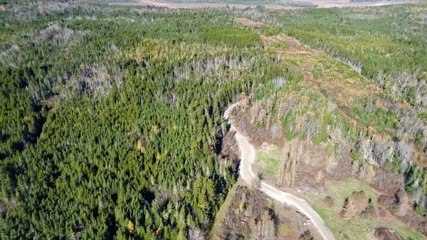 Whiting, ME 04691,Lot 5 Holmes Bay Farm