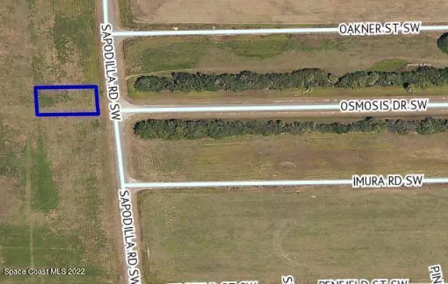 Palm Bay, FL 32908,2250 Sapodilla RD SW