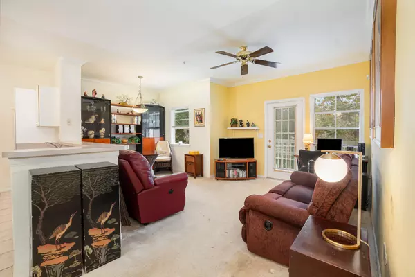 Celebration, FL 34747,516 Water ST