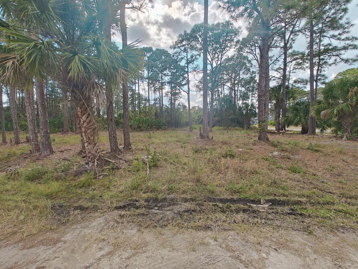 Palm Bay, FL 32909,2311 San Filippo DR SE