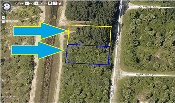 2698-2700 2 Adjacent Lots On Ginger AVE, Palm Bay, FL 32908