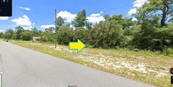 Ocala, FL 34473,Lot 29 SW 165th Street RD