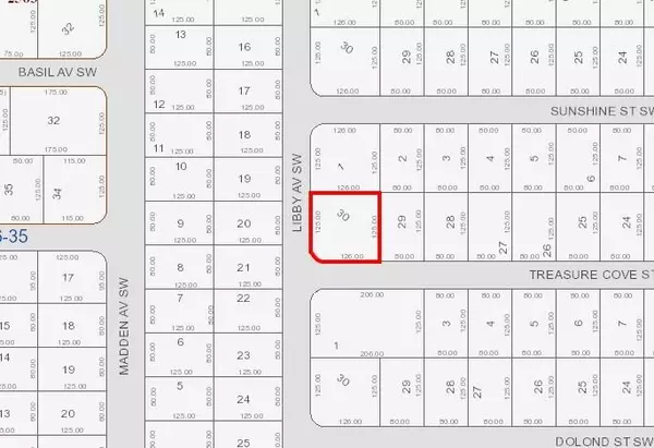 Palm Bay, FL 32908,797 Treasure Cove (Corner Libby) ST SW